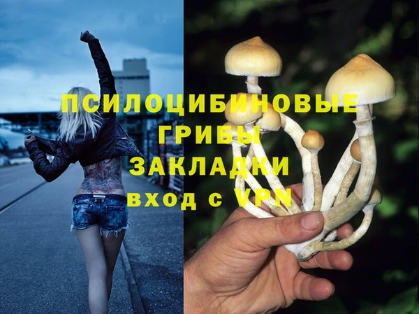 спиды Алексеевка
