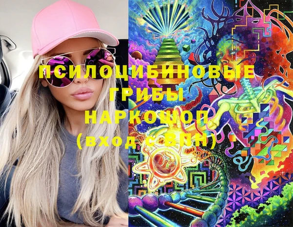 спиды Алексеевка