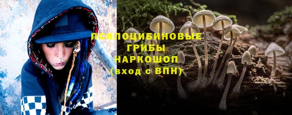 спиды Алексеевка